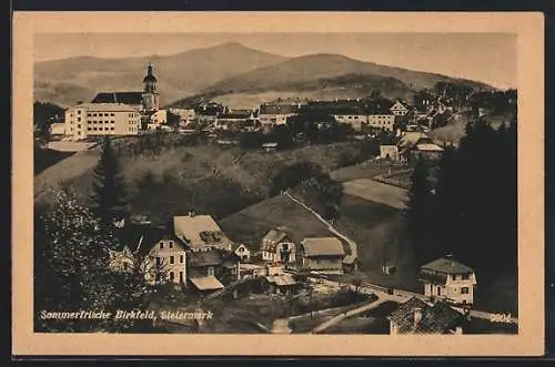 AK Birkfeld /Steiermark, Ortsansicht vom Berg aus