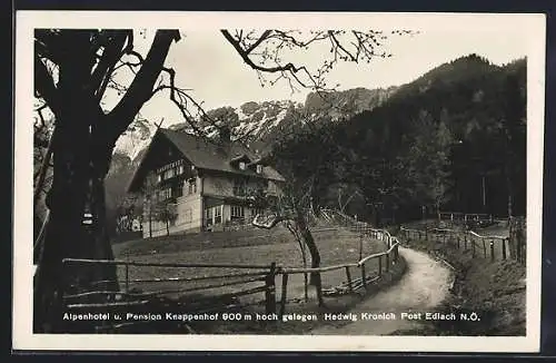 AK Edlach /N. Ö., Alpenhotel und Pension Knappenhof v. Hedwig Kronich