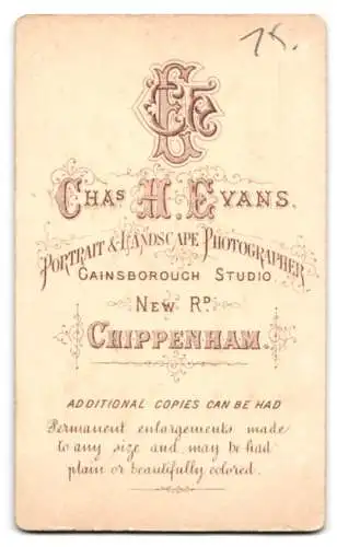 Fotografie Chas. H. Evans, Chippenham, New Rd., Kleines Mädchen in detailliertem Kleid