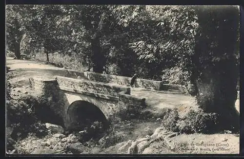 AK Bocognano /Corse, Un Coin, Le Pont