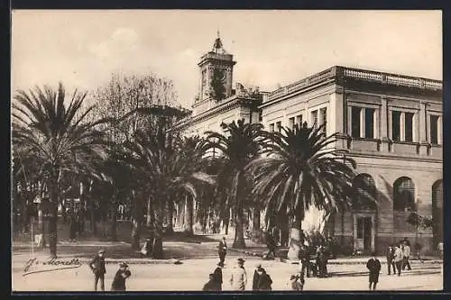 AK Ajaccio /Corse, Avenue du 1er Consul, La Mairie