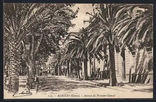 AK Ajaccio /Corse, Avenue du Premier-Consul