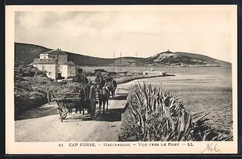 AK Macinaggio /Cap Corse, Vue vers le Port