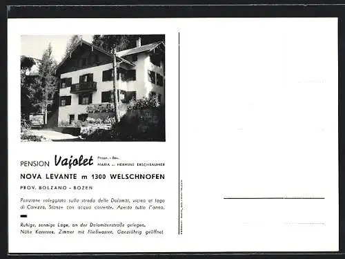 AK Welschnofen /Bozen, Pension Vajolet von Maria und Hermine Erschbaumer