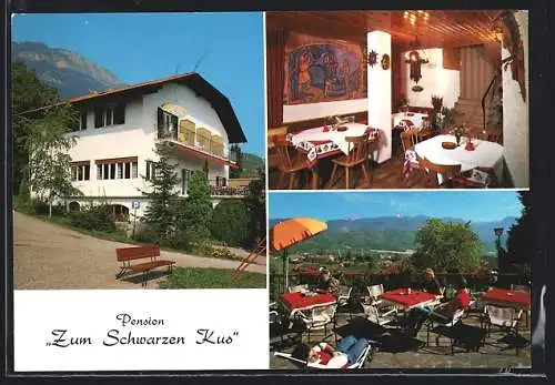 AK Kaltern /St. Nikolaus, Pension Zum Schwarzen Kus, Innenansicht, Terrasse