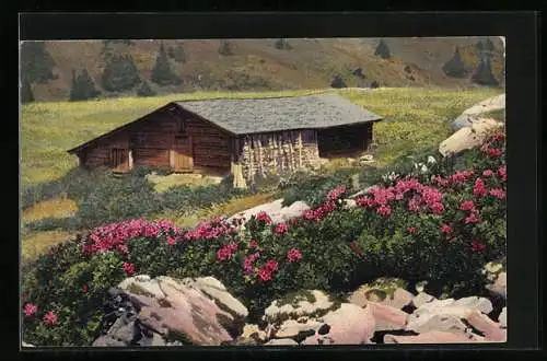 Künstler-AK Photochromie Nr. 1211: Haus mit Alpenrosen