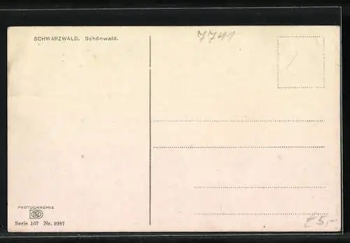 AK Photochromie Nr. 167: Schönwald / Schwarzwald, Fernblick zum Ort im Schwarzwald