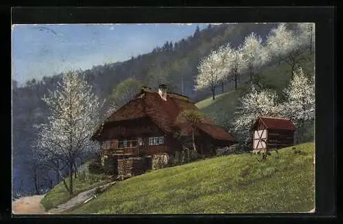 AK Photochromie NR 3009: Kirnbachtal, Schwarzwälder Haus mit blühenden Bäumen