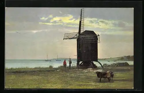 AK Photochromie NR 2863: Panorama am See mit Windmühle und Kühen