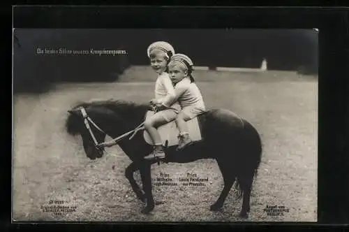 AK Die beiden Söhne des Kronprinzenpaares Wilhelm von Preussen, Prinz Wilhelm und Prinz Luis Ferdinand