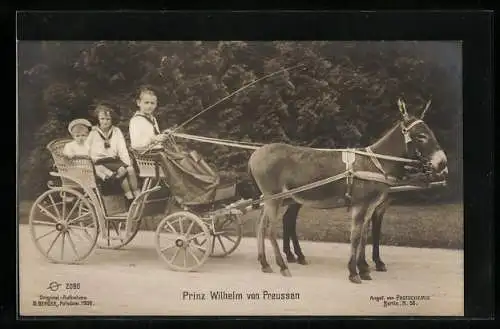 AK Prinz Wilhelm von Preussen, in der Esel Kutsche