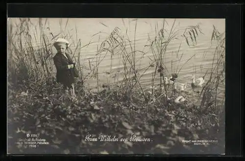 AK Prinz Wilhelm von Preussen füttert Enten