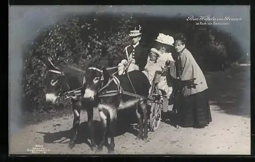 AK Potsdam, Park Sanssouci, Prinz Wilhelm im Eselswagen