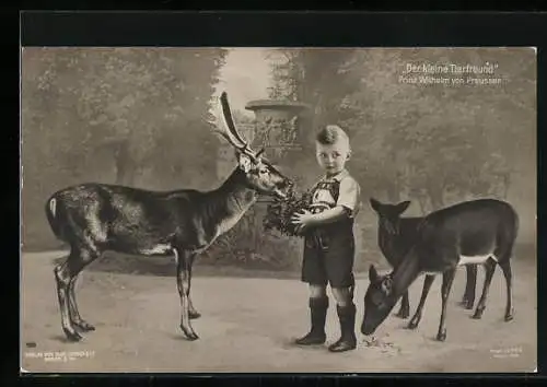 AK Prinz Wilhelm, der kleine Tierfreund