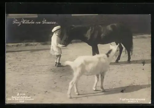 AK Prinz Wilhelm mit Ziege und Pferd