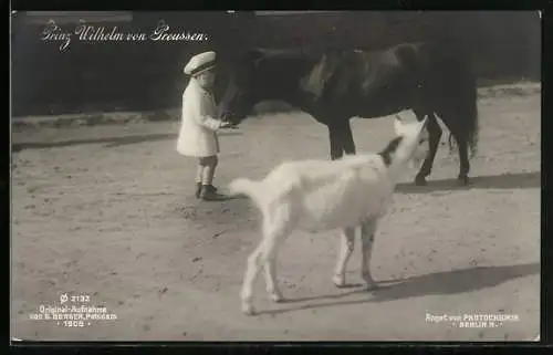 AK Prinz Wilhelm mit Ziege und Pferd