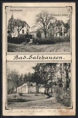 AK Bad Salzhausen, Restaurant Schule und Villa Charlotte, Saal im Kurpark