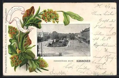 AK Hannover, Herrenhäuser Allee mit Strassenbahn, Blüten