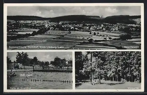 AK Dorndorf / Lahn, Generalansicht, Partie am Strandbad, Waldpartie