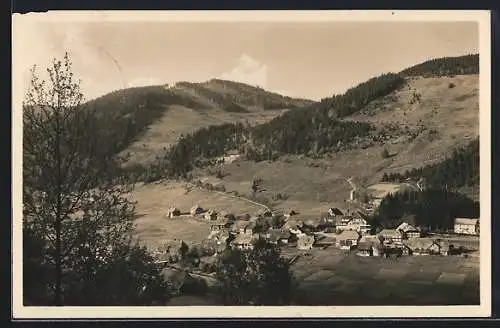 AK Menzenschwand, Ansicht Vorderdorf