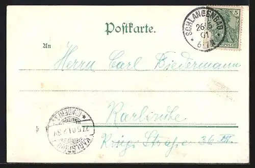 AK Schlangenbad /Nassau, Teilansicht mit Kirche, Passepartout