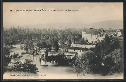 AK Salies-de-Béarn, Le Vieux Pont de Sauveteur