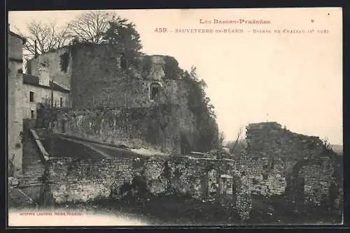 AK Sauveterre-de-Béarn, Ruines du Chateau