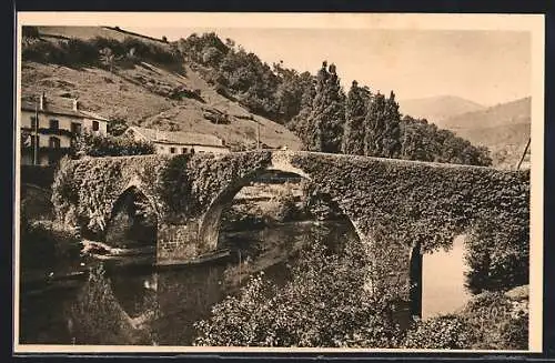 AK Bidarray /B.-P., Les vieux point en dos d`âne sur la Nive