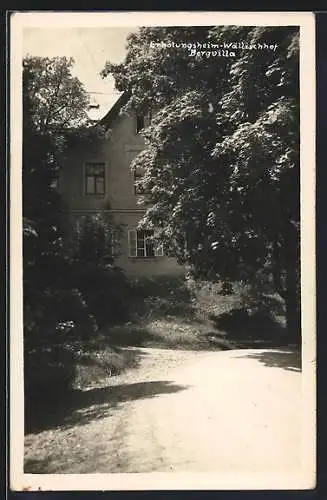 AK Maria Enzersdorf, Erholungsheim Wällischhof, Bergvilla mit Garten