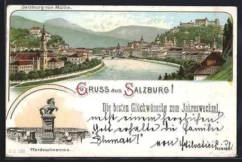 AK Salzburg, Ortsanisicht von Mülln mit Salzach und Festung, Denkmal Pferdeschwemme