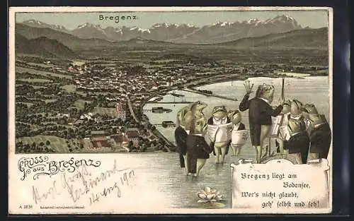 Lithographie Bregenz, Ortsansicht, Singende Frösche