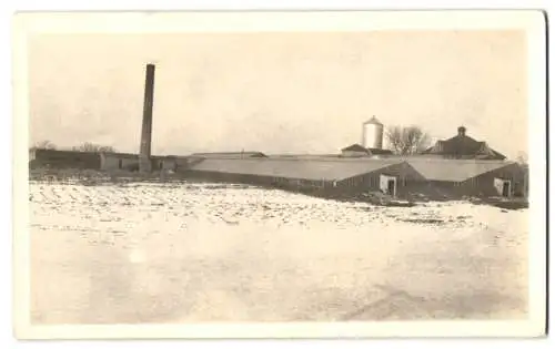 Fotografie unbekannter Fotograf, Ansicht Minneapolis-Lyndale, Greenhouse Henry Bachmann, 5936 Lyndale Ave.