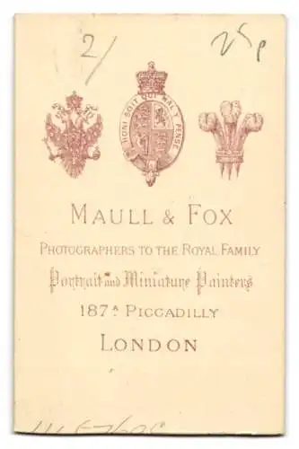 Fotografie Maull & Fox, London, Piccadilly 187A, älterer Herr mit Spazierstock