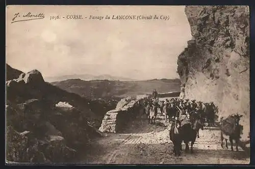 AK Lancone, Passage du Lancone, Circuit du Cap, Ziegenherde auf einem Bergweg