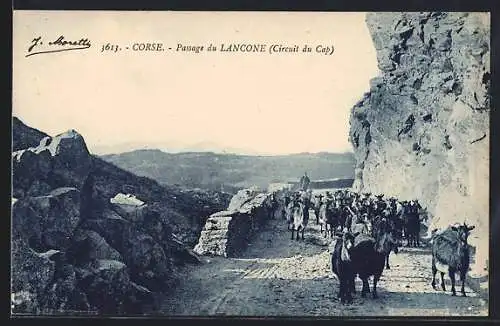 AK Lancone, Passage du Lancone, Circuit du Cap, mit Ziegenherde auf Bergstrasse