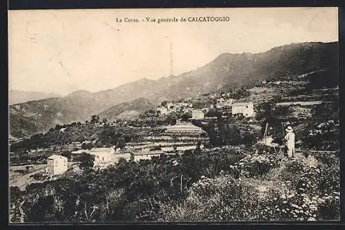 AK Calcatoggio /Corse, Vue générale