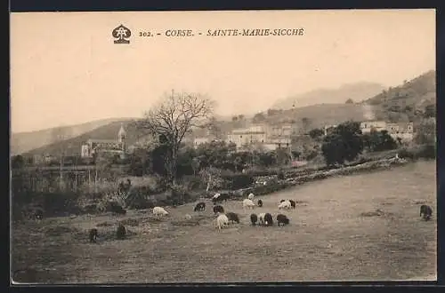 AK Sainte-Marie-Sicché /Corse, Vue générale