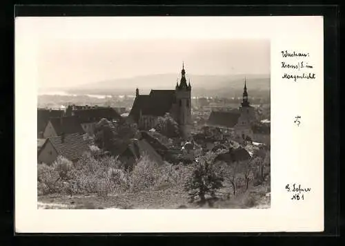 Foto-AK Adalbert Defner: Krems /D., Die Stadt im Morgenlicht