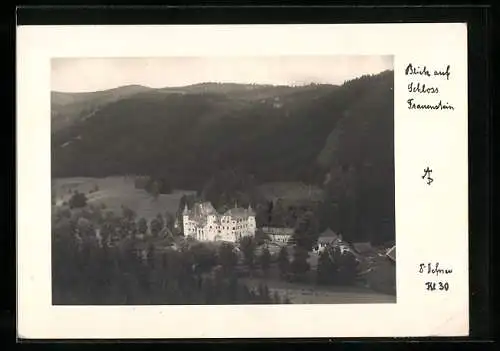 Foto-AK Adalbert Defner: Trauenstein, Blick auf das Schloss