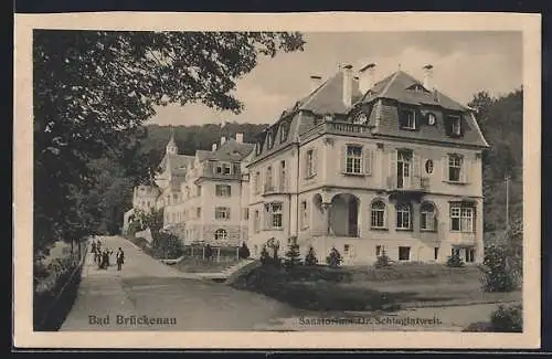 AK Bad Brückenau, Sanatorium Dr. Schlagintweit mit Strasse