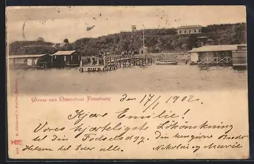 AK Flensburg, Uferpanorama mit Steg und Häusern im Wasser