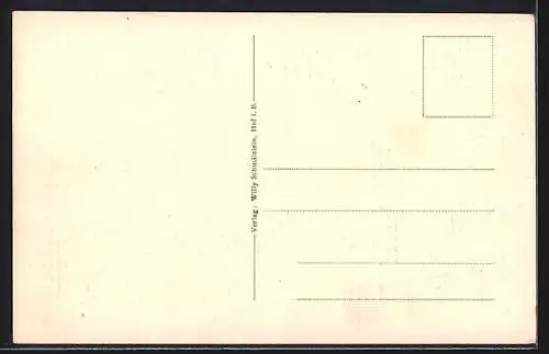 AK Hof i. B., Gesamtansicht aus der Vogelschau