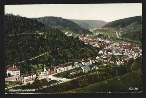 AK Calw, Höhere Handelsschule von oben