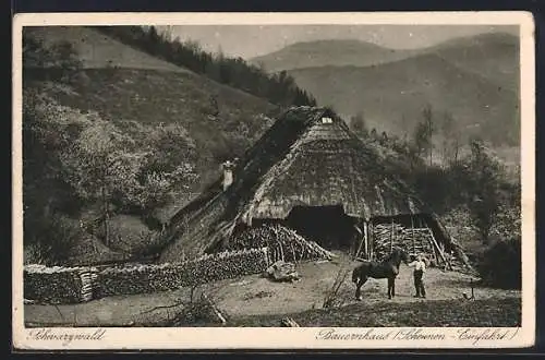 AK Schwarzwald, Bauernhaus mit Scheunen-Einfahrt, mit Bahnpoststempel