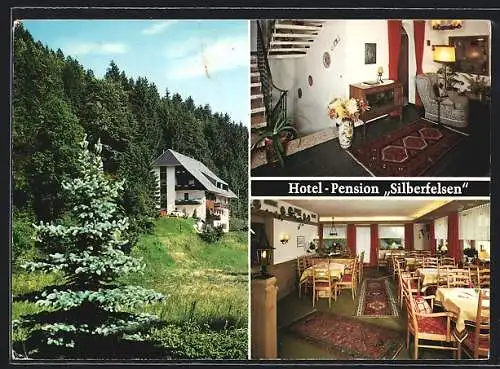 AK St. Blasien /Menzenschwand, Hotel-Pension Silberfelsen