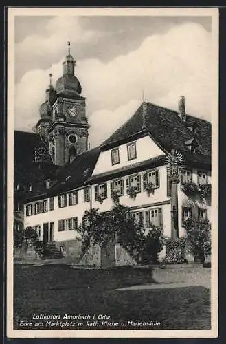 AK Amorbach i. Odw., Katholische Kirche und Mariensäule