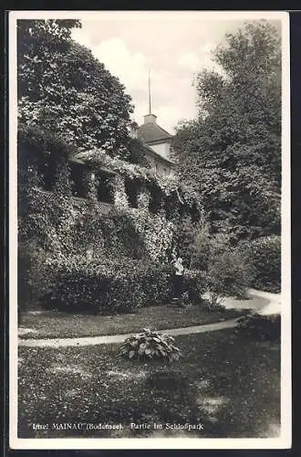 AK Mainau /Bodensee, Partie im Schlosspark