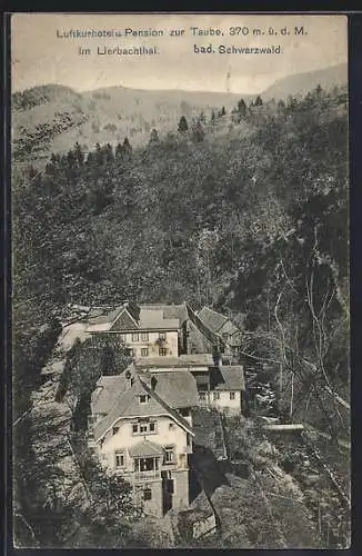 AK Lierbachthal /Bad. Schwarzwald, Hotel und Pension zur Traube