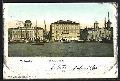 AK Trieste, Riva Carciotti