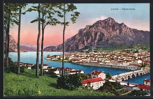 AK Lecco, Panorama